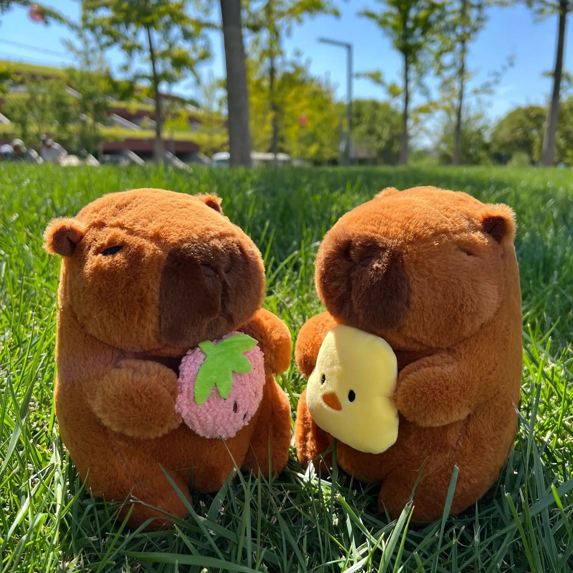 New 21cm Capybara Plush Toy - Image 13